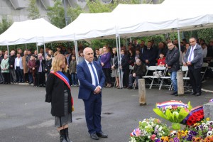 31497329 2027987224117674 7220774420481048576 o 